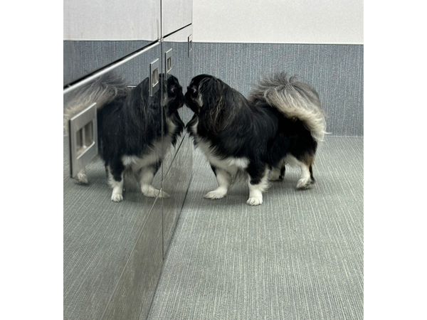生徒が写真を送ってくれました♪